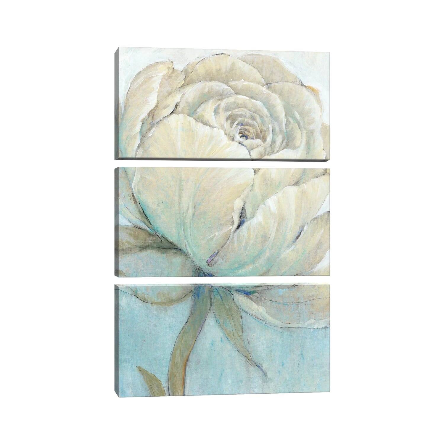 iCanvas "English Rose II" by Tim OToole 3Piece Canvas Wall Art Set
